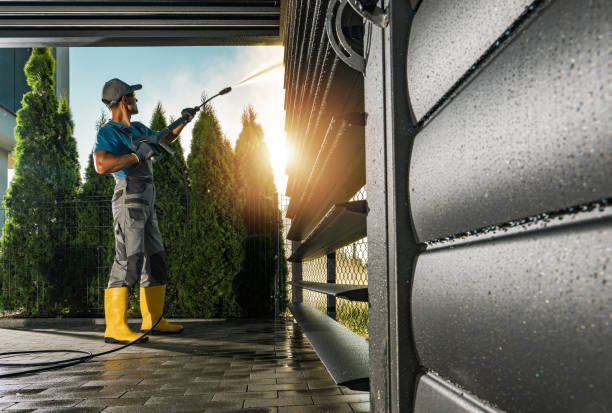 Best Graffiti Removal  in Fowlkes, TN